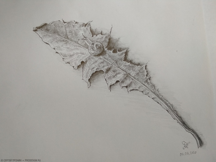 ���� ���������� � �������