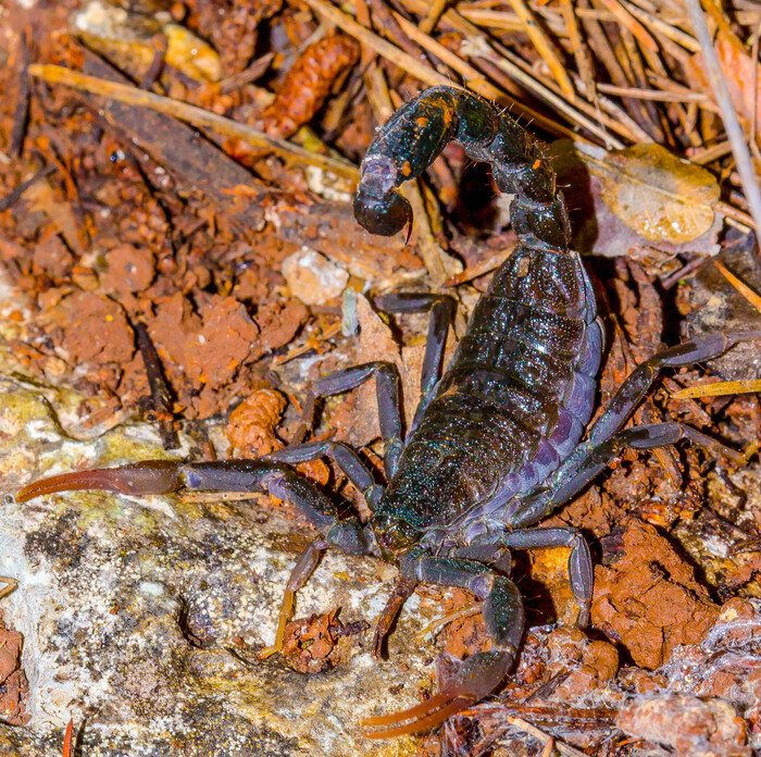 Проснулся и не в духе...