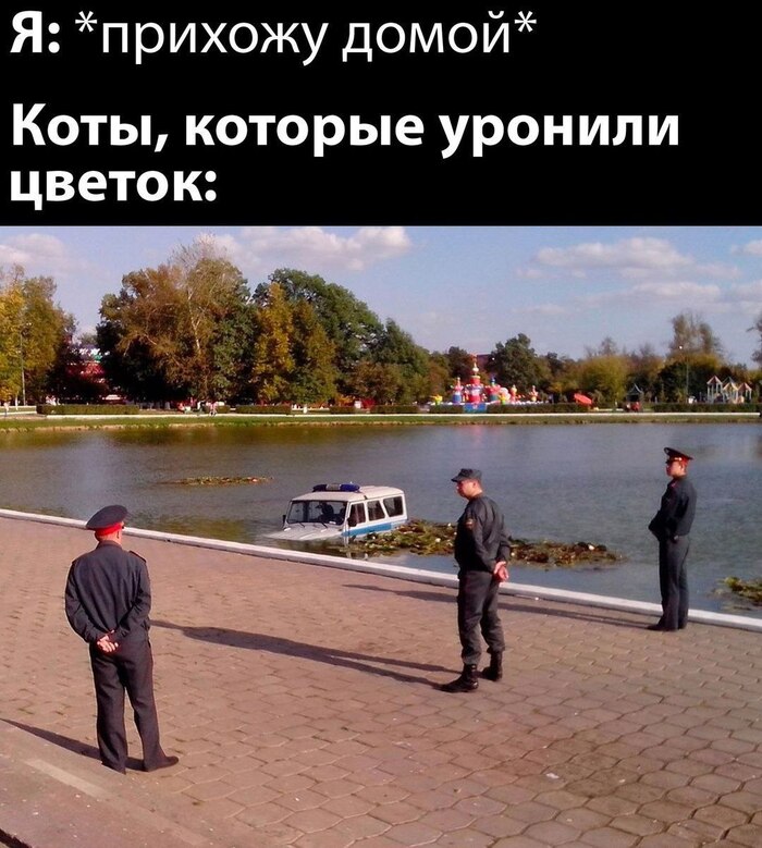   ,   , 