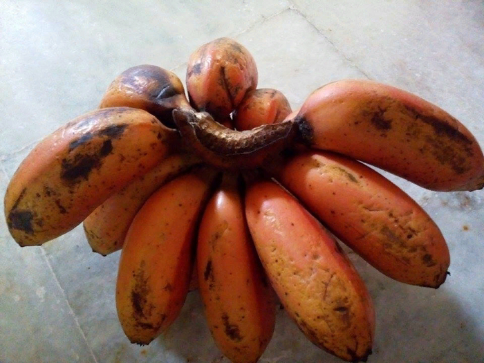        ! , , ,  , , ,  ,   (), 