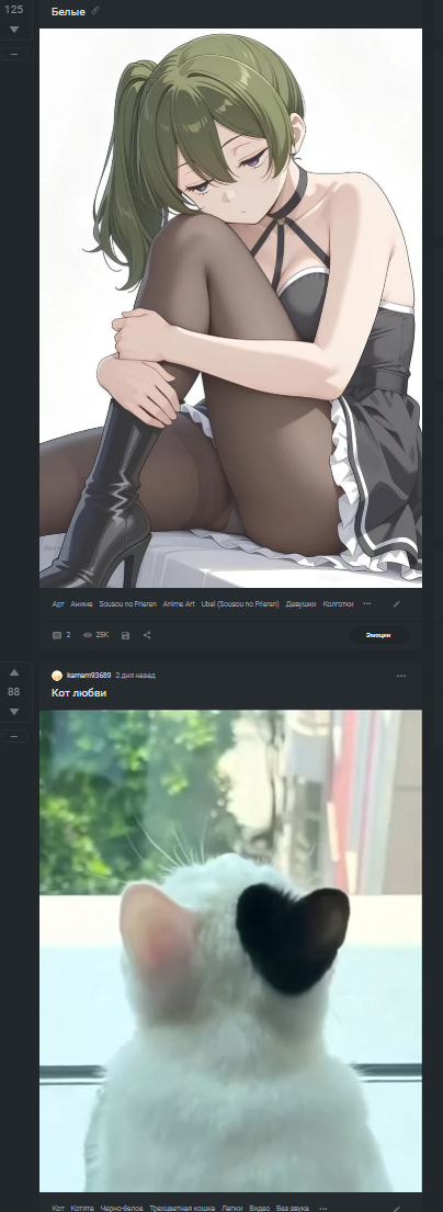         ))) , 