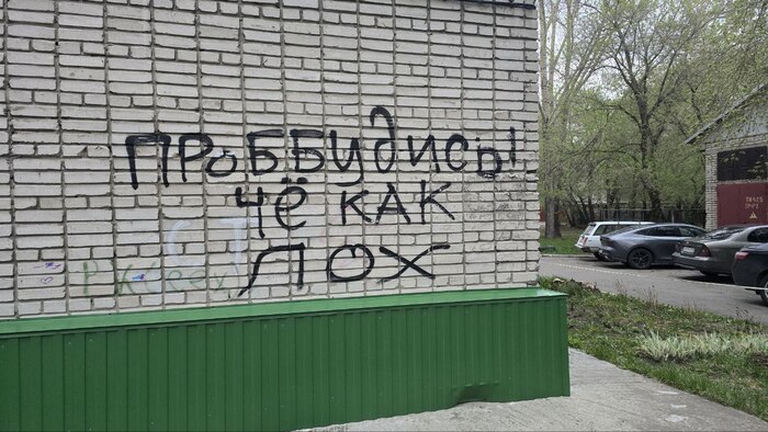  , -, , , Telegram (),   