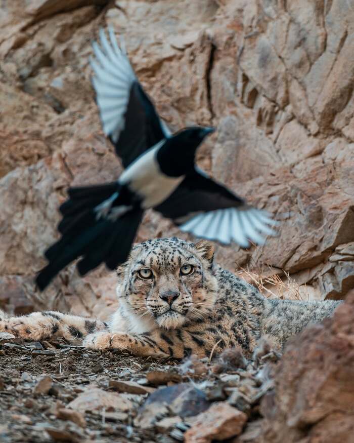          ,  ,  ,  , , ,  ,  , , , 