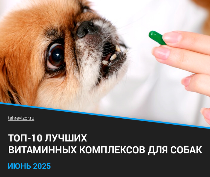    2025: -10      , , , , ,  ,  , , , 