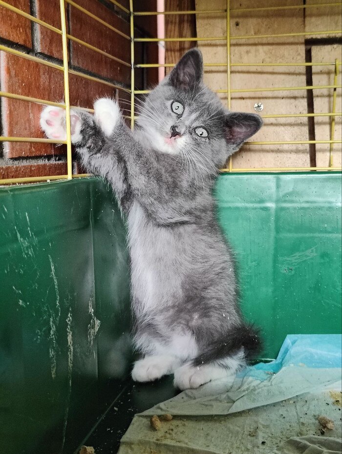       .        , ,  ,  , , ,  , 