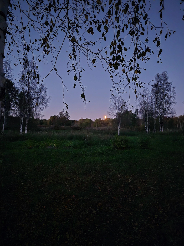   , , , , , ,  ,  , , 