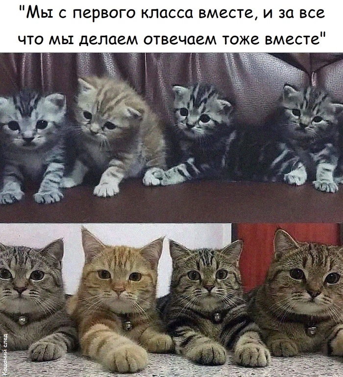  ,  ,  (),   , 