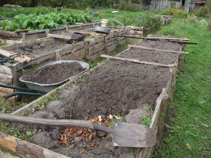 ������� �������: ������, ������� �� �����