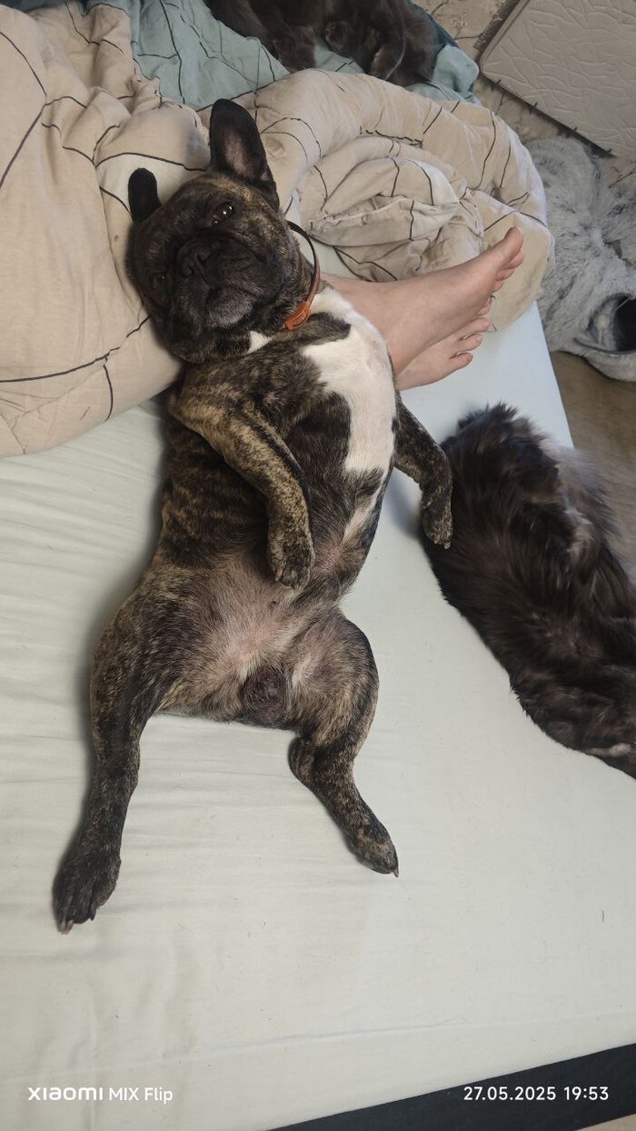  ? !  ,  , , , , 