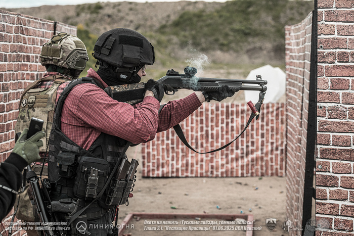   Fabarm 12    Holosun.