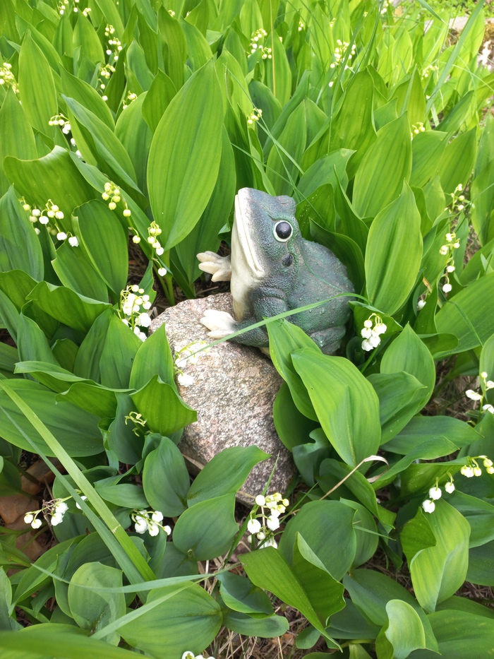 Ландыши. Маяковский. Жабки