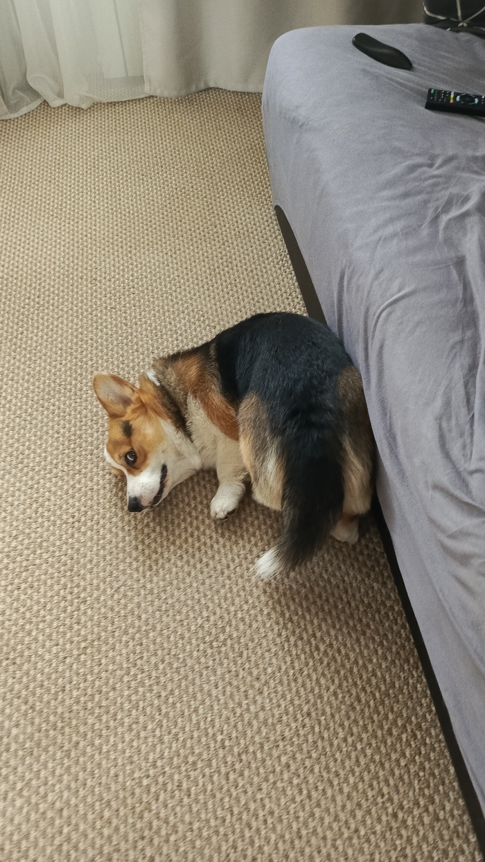      ,  ,  , 