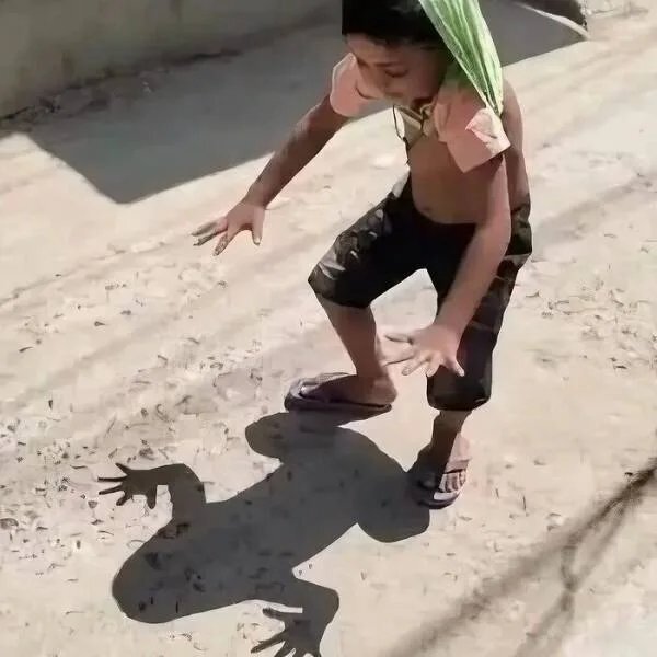  , , It Is Wednesday My Dudes, 
