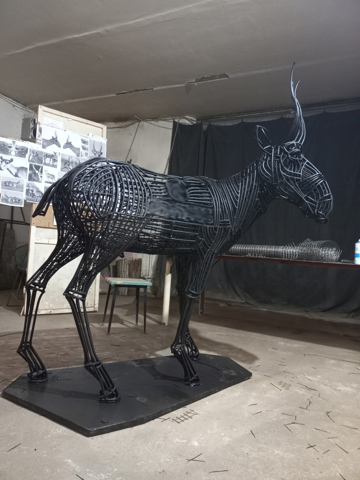   ,       ,       . .     -     ,       .