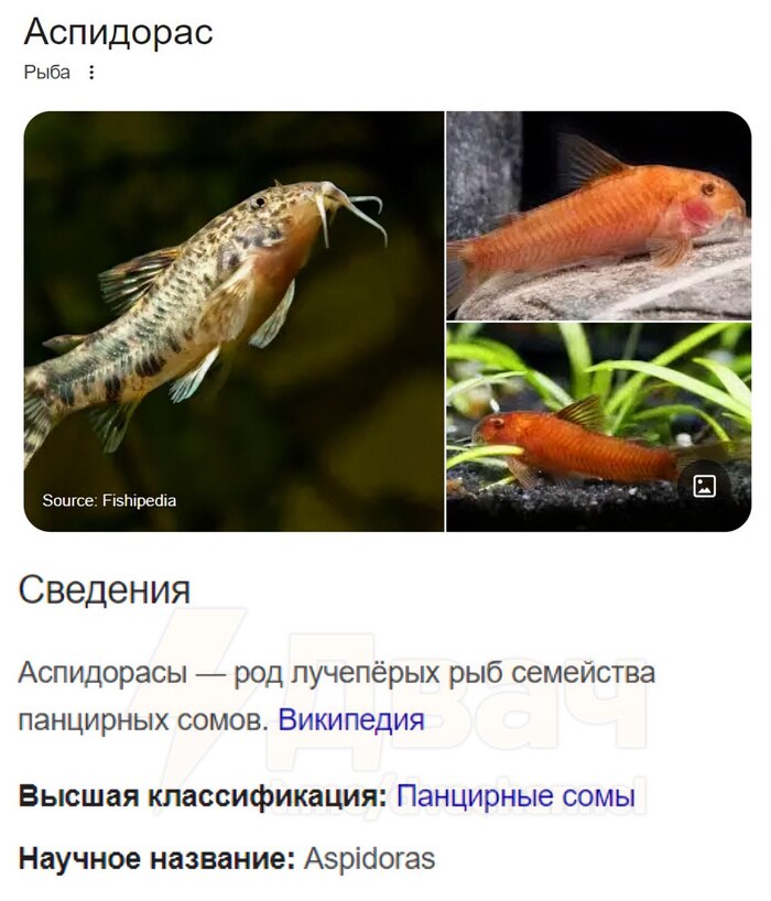      ? , , ,   