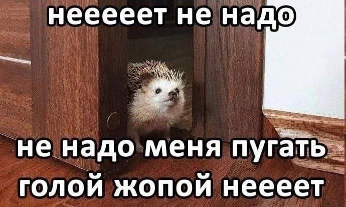 ������ ��