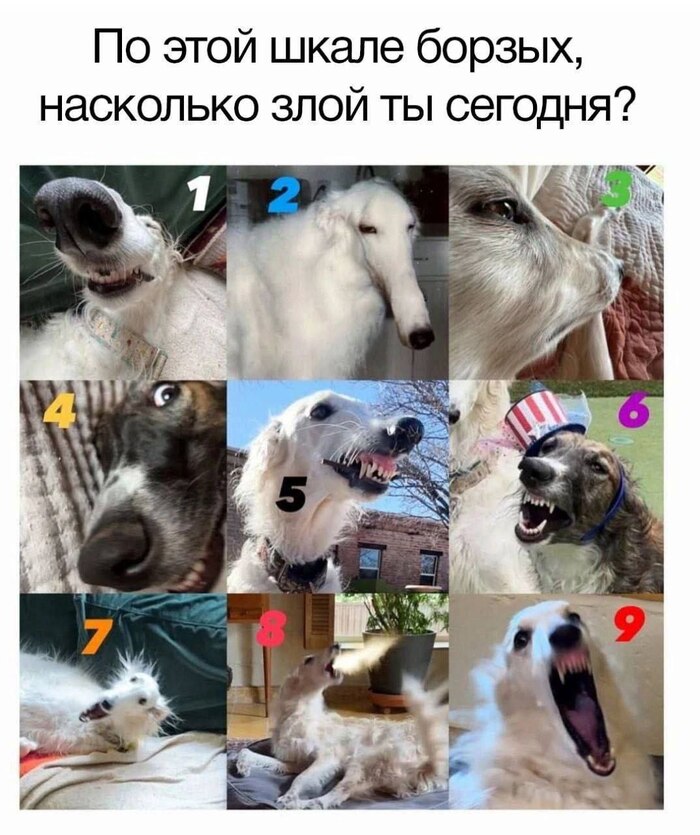   4:  ,   ,     ,   , 