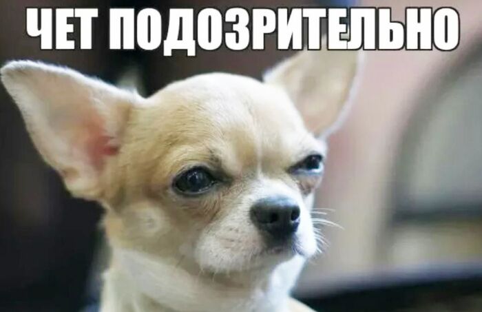 не верим мы тебе, кожаный. ох не верим! особенно я, Эстония