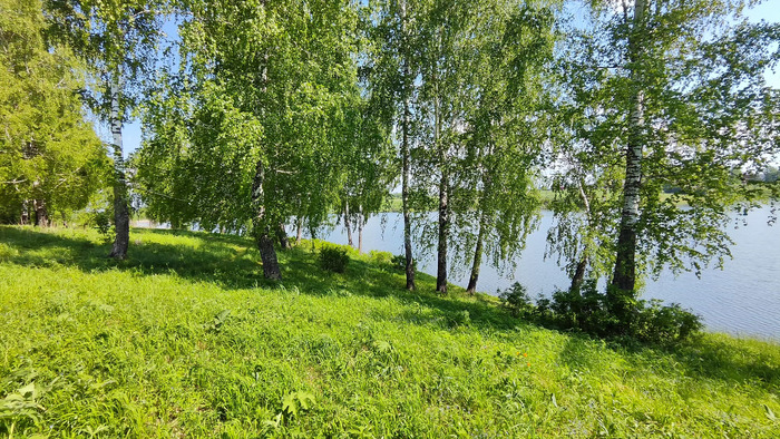 ����������� � ������� ��������� �������