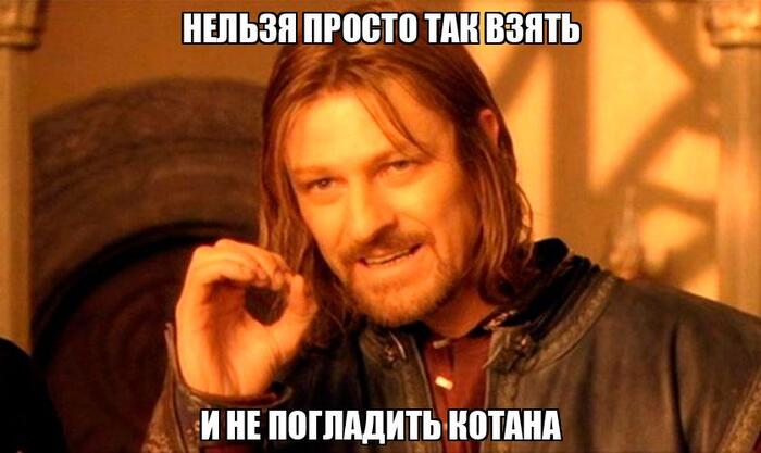       ? , -, , 