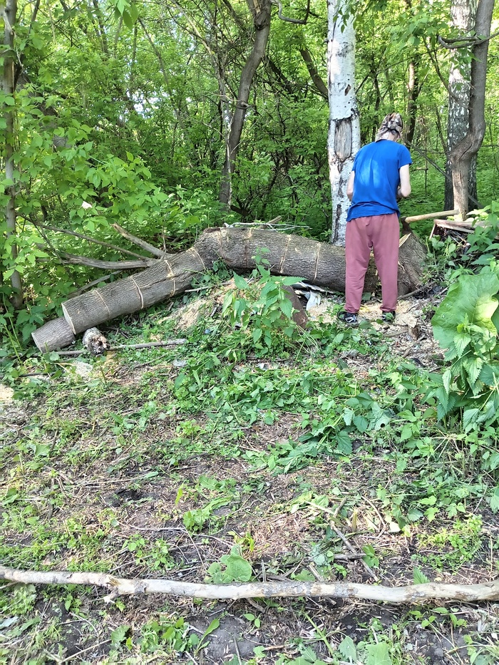 ��� ������� ��������. ��� ��������������? ��� ������������� �����?(���, ������������� ����� - ���, �������, ������)