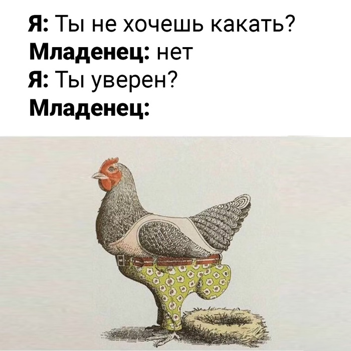     , , 