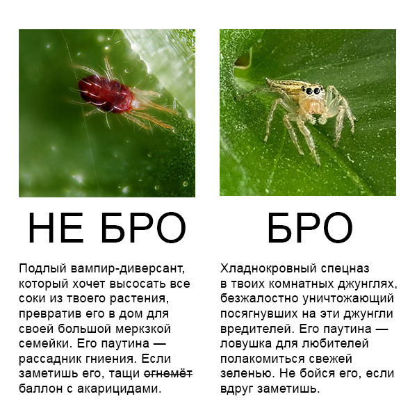   ,     , , ,   ,   , 