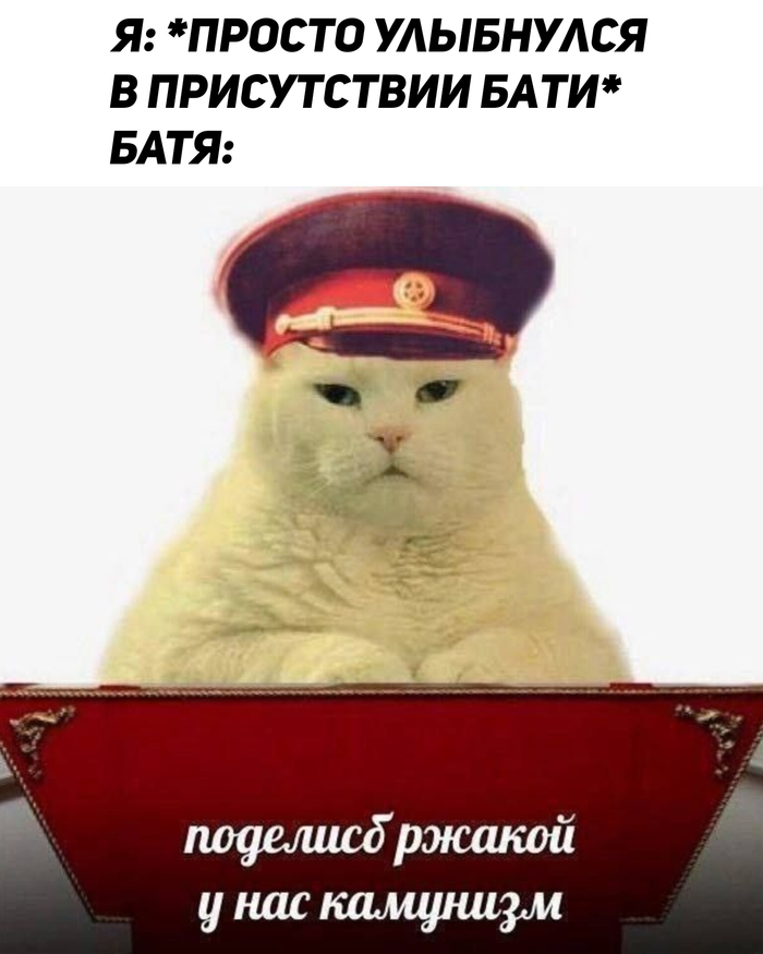      ,   , ,  , , , 