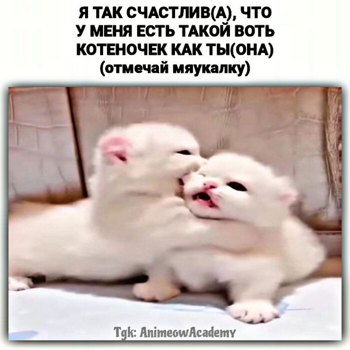   ,          , , , , , 