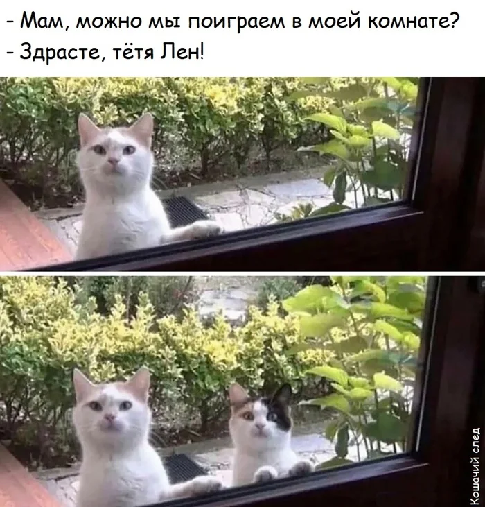 6fksi3jb.webp