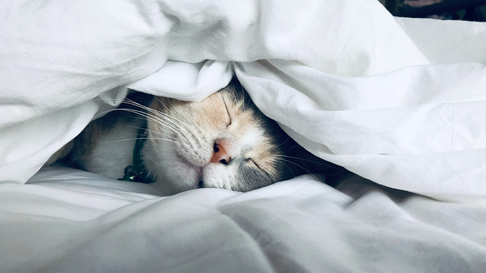   , , , , , ,  , , , 