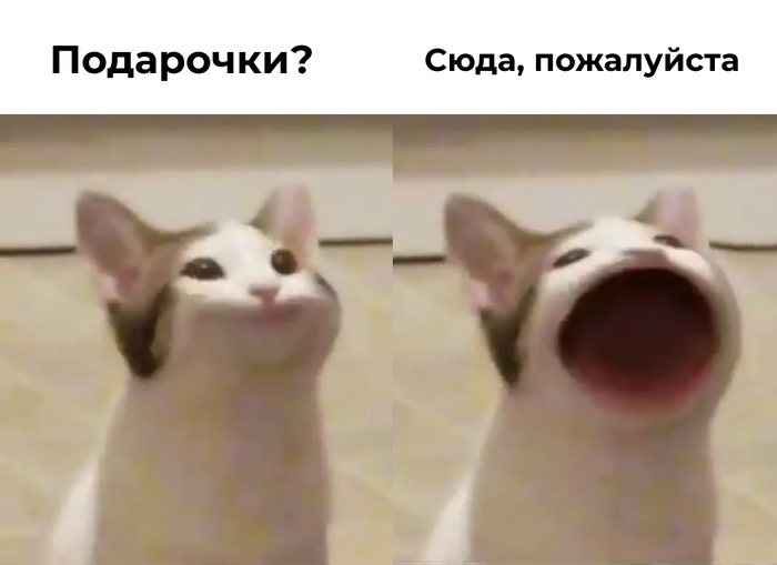    :     , ,  