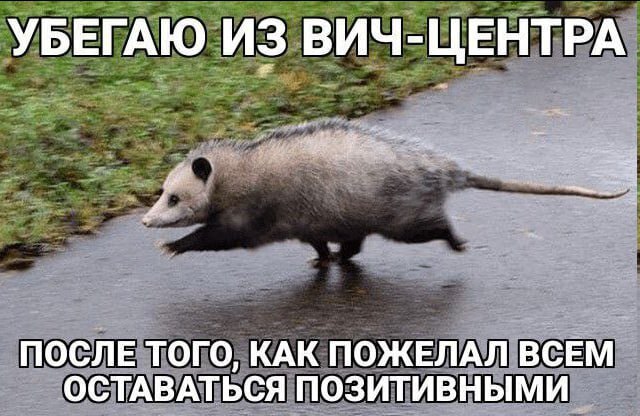 Позитивной пятницы!