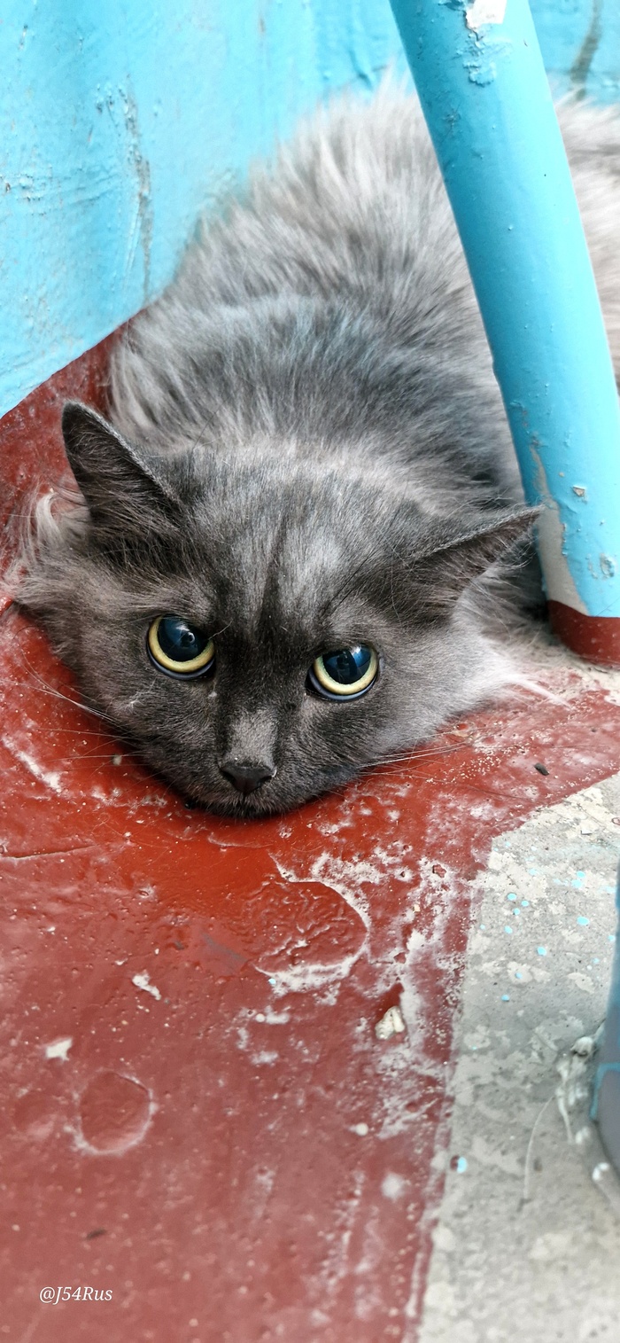   - ?! , ,  , , , ,  ,  , 