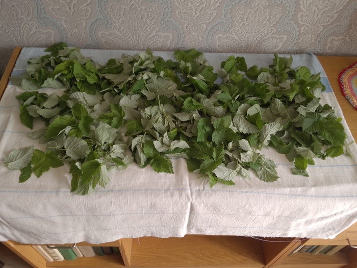 Время собирать... листья Чай, Напитки, Рецепт, Мат, Длиннопост