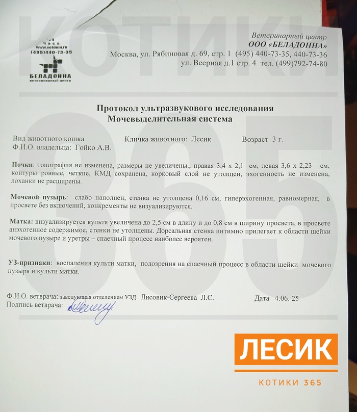  04.06.2025 , , , , , 