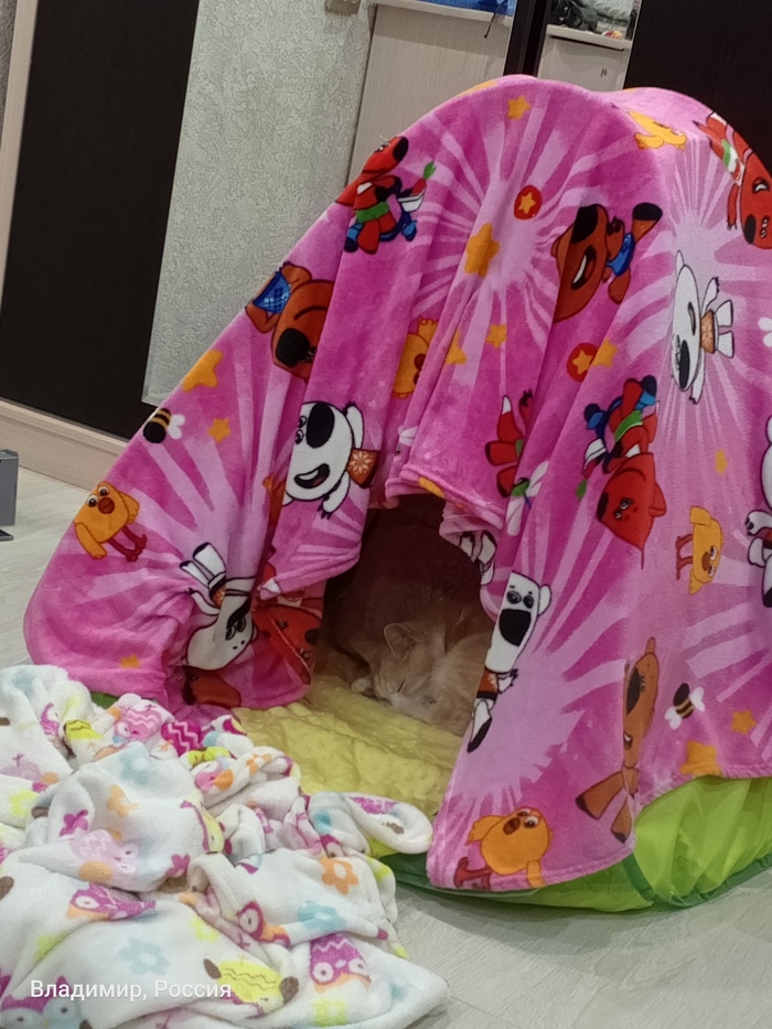 Сегодня погода говорит "поспи". И Боня не в силах сопротивляться