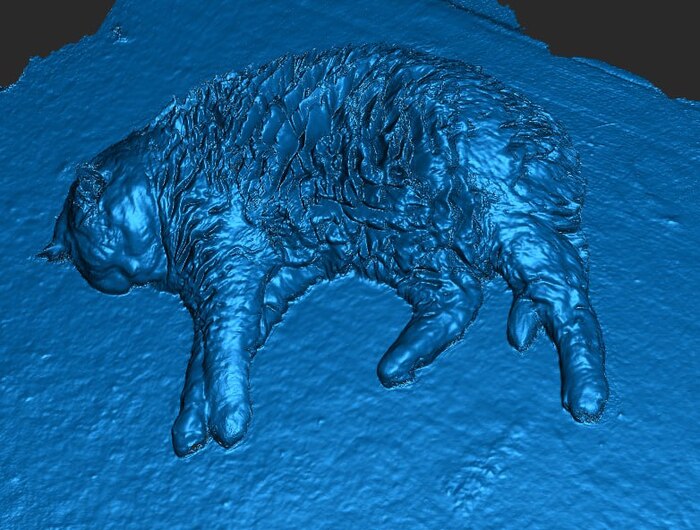 ,    3D, , , , 