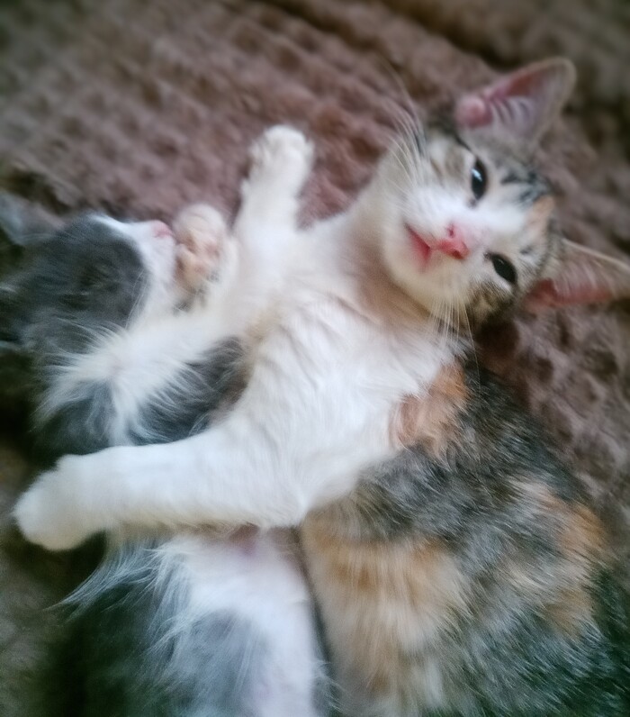   , ,  , ,  , , , , 