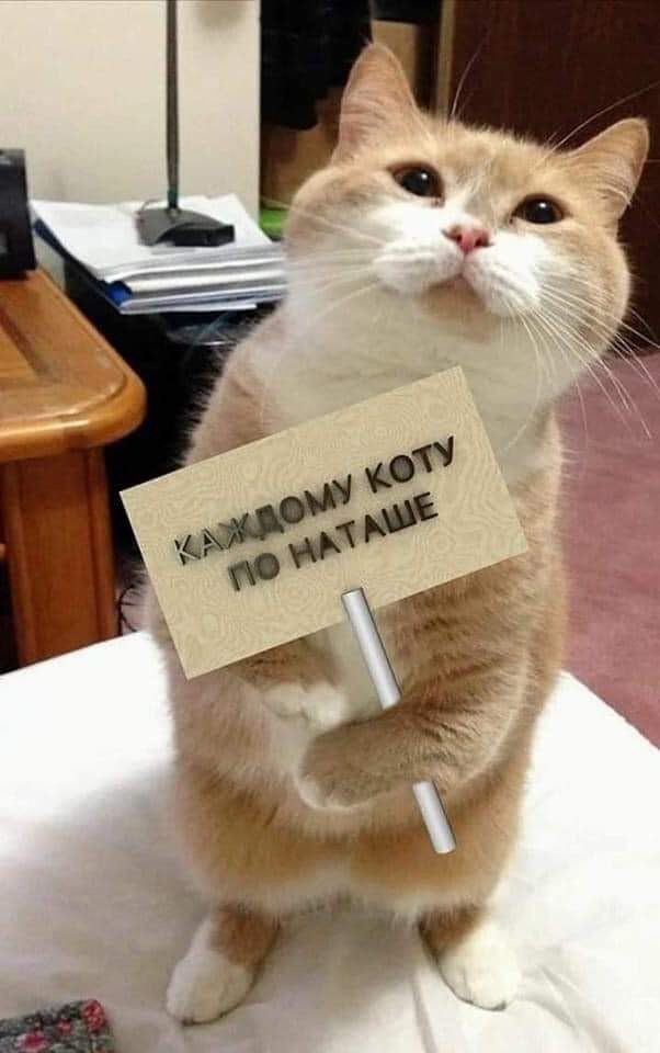     , , , ,  