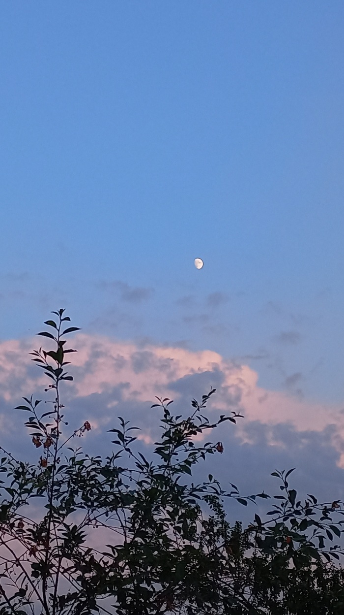 И для любителей формата вертикаль)