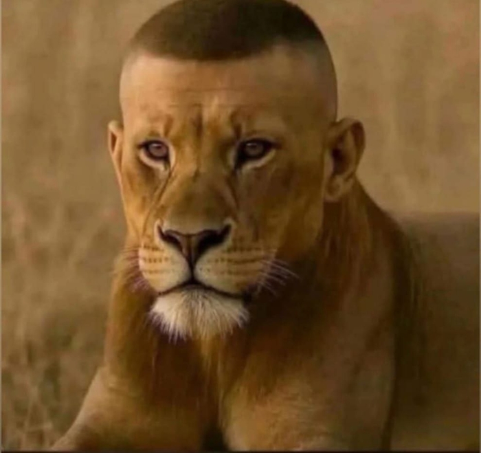    ,    ,       