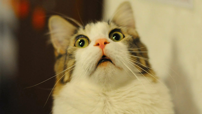 F32.3 (����������� 1981�.)