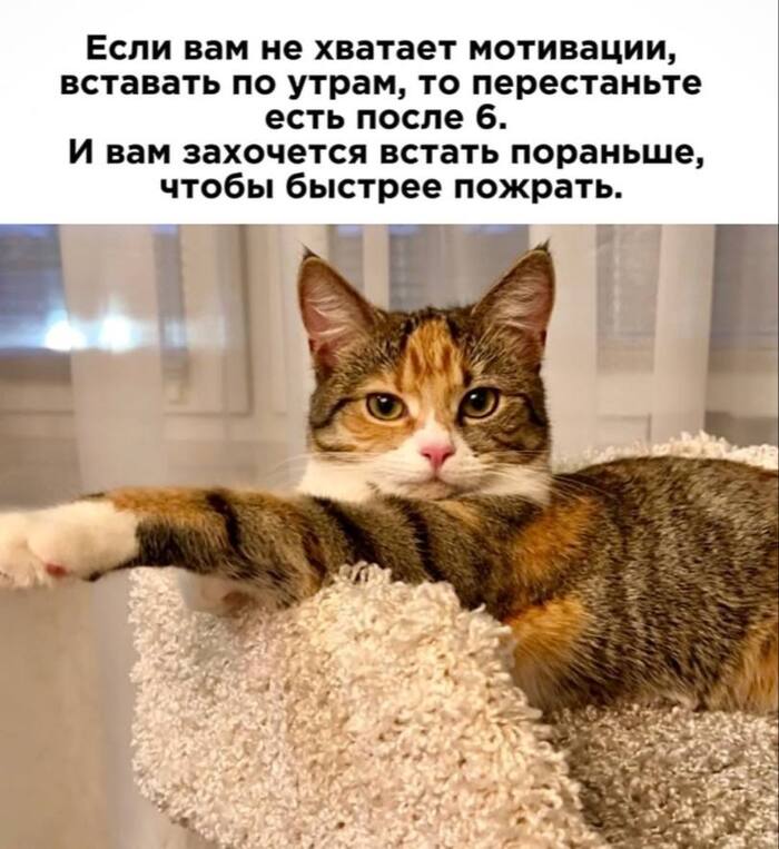        -   4    , , ,   , , Telegram ()