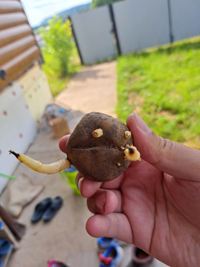         , , 