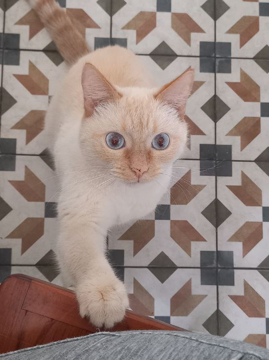 ,     ,  , ,  , , , 