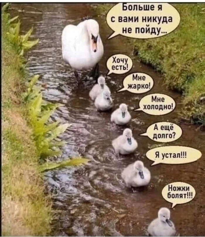           .     . ...   , ,   , , , , 