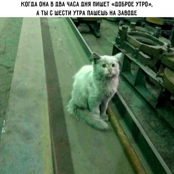   ,   , ,  , , 