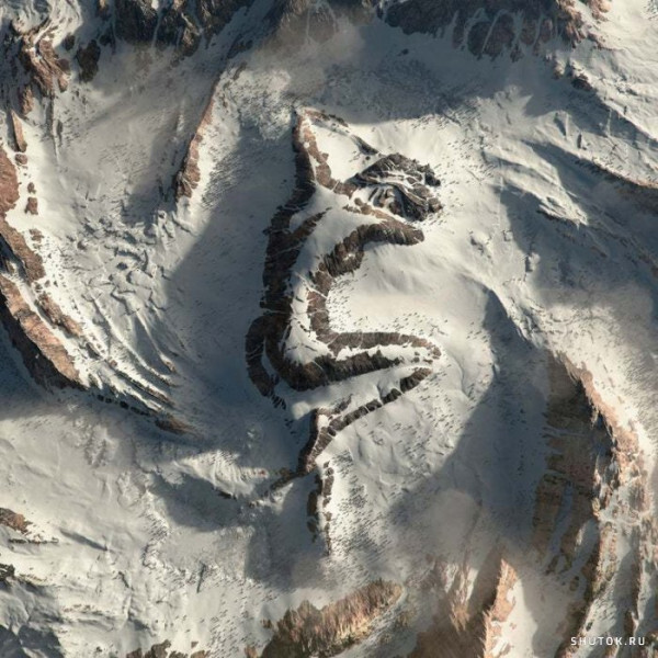 Когда не получила алименты...