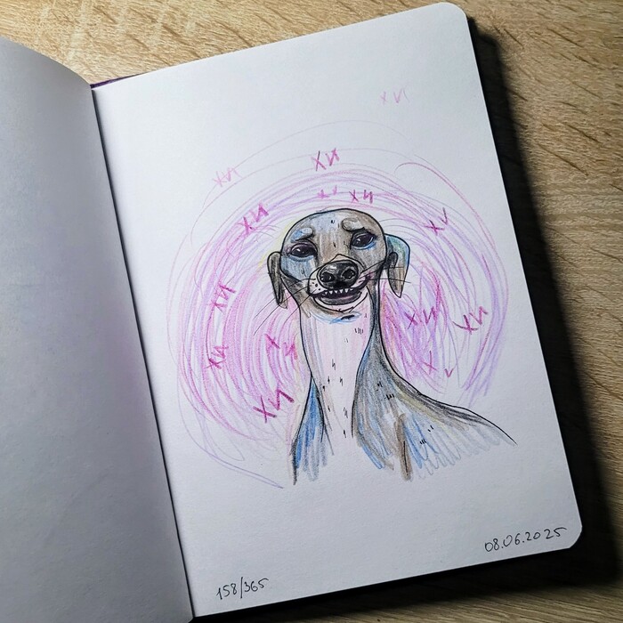   . 158/365 , , , , 